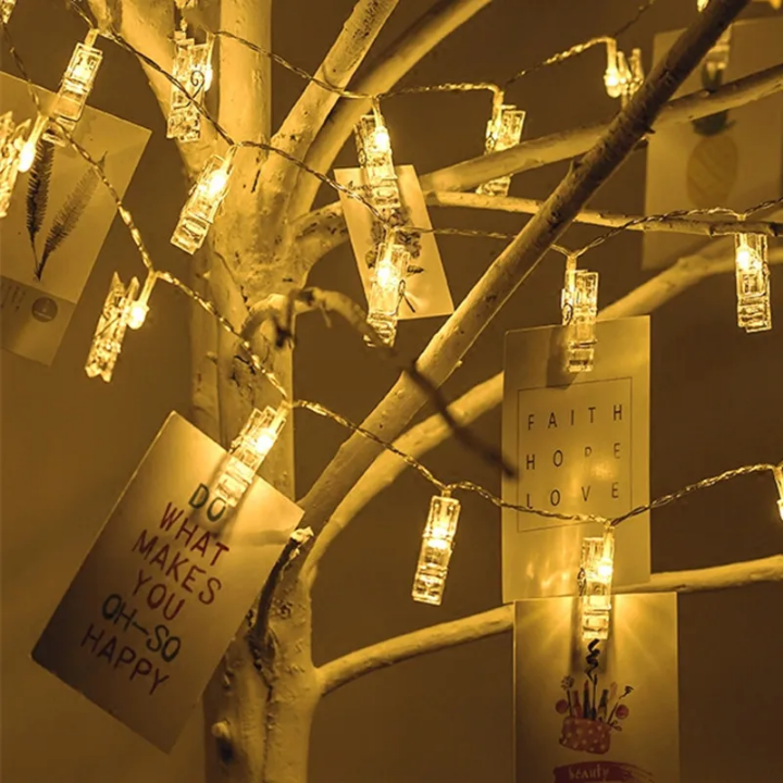 ملاقط الصور المضيئة ملاقط الصور المضيئة