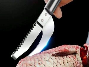 قشارة سمك
