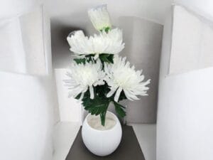 فازة زهرة الأقحوان