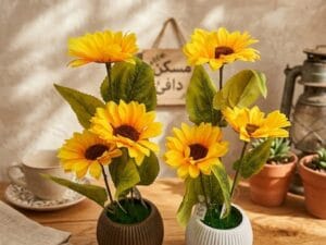 نبتة عباد الشمس