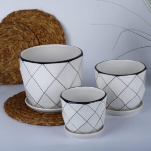 طقم زريعة بورسلان